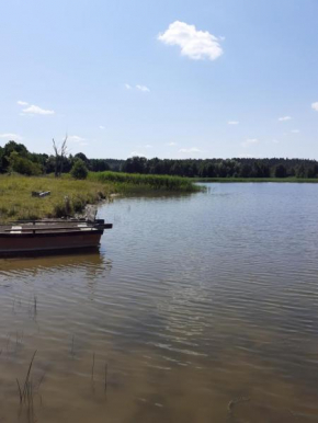 Domek w sadzie na Mazurach, Stręgielek